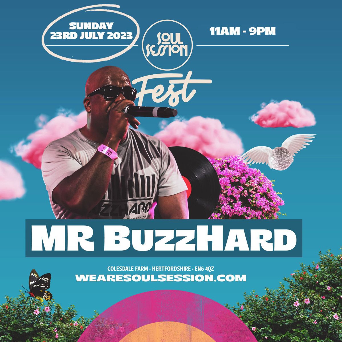 MR BUZZHARD tweet media