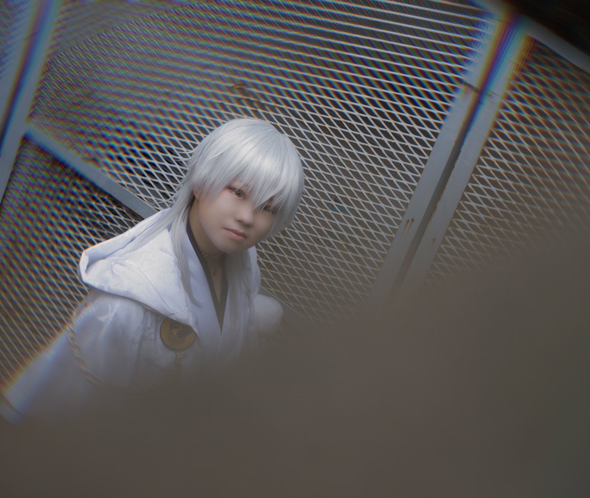 rakki_cos's tweet photo. 【cos】4K
No.130／鶴丸国永

────
　視 線
────

📷@Bg7rD 
#リバモ https://t.co/3vugKGEVsc