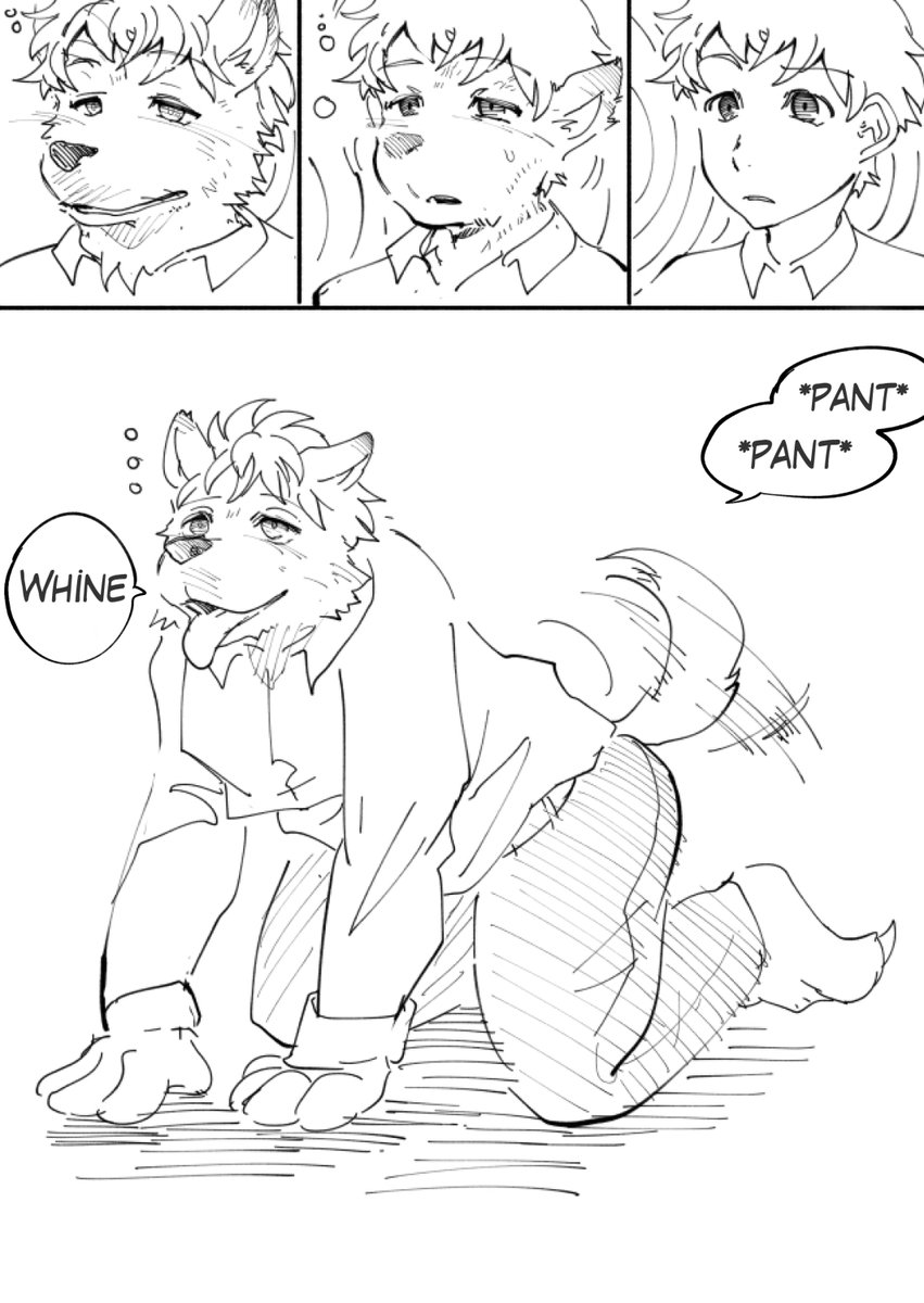 yukinojo10's tweet photo. There's no way I'd fall for hypnosis, right? Me, turning into a dog? Hilarious! https://t.co/h62raEc8Mn