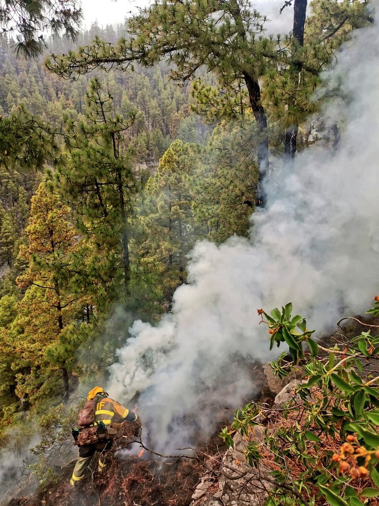 ElTimeLaPalma's tweet photo. Torres destaca la coordinación en el traspaso de poderes en el incendio en La Palma 
#lapalma #puntagorda #tijarafe #IFPuntagorda #iftijarafe #IFLaPalma 

https://t.co/9c3O4Ijzao https://t.co/9q2stLrzYJ