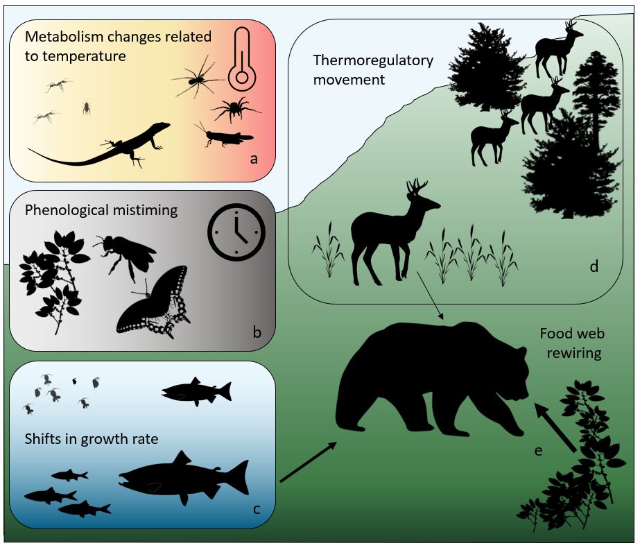 || OPINION ||
What's going to be on the menu with global environmental changes? 

📃 onlinelibrary.wiley.com/doi/full/10.11…