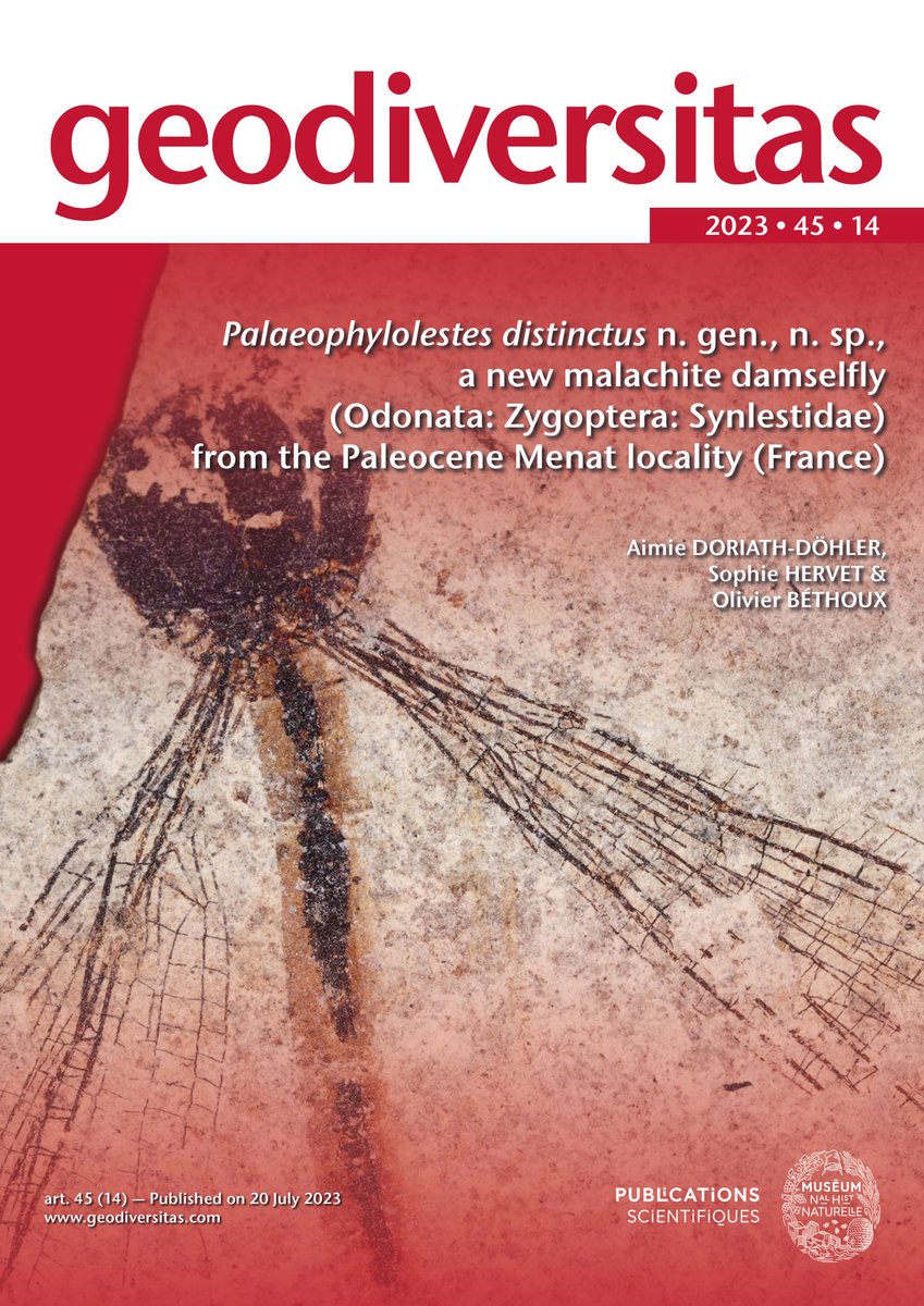 [#Geodiversitas] Palaeophylolestes distinctus n. gen., n. sp., a new malachite damselfly (#Odonata: #Zygoptera: #Synlestidae) from the Paleocene Menat locality (France) from Aimie DORIATH-DÖHLER et al. – geodiversitas.com/45/14 – @Publi_MNHN @le_CR2P – #newspecies #newgenus