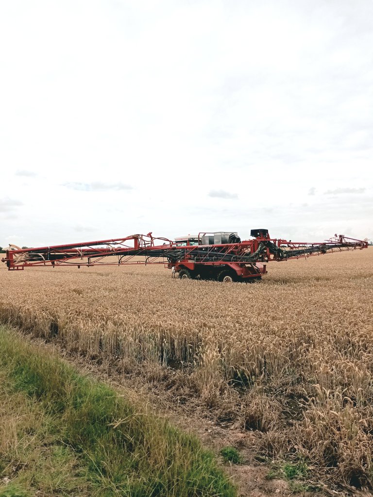 Harry Waudby tweet media