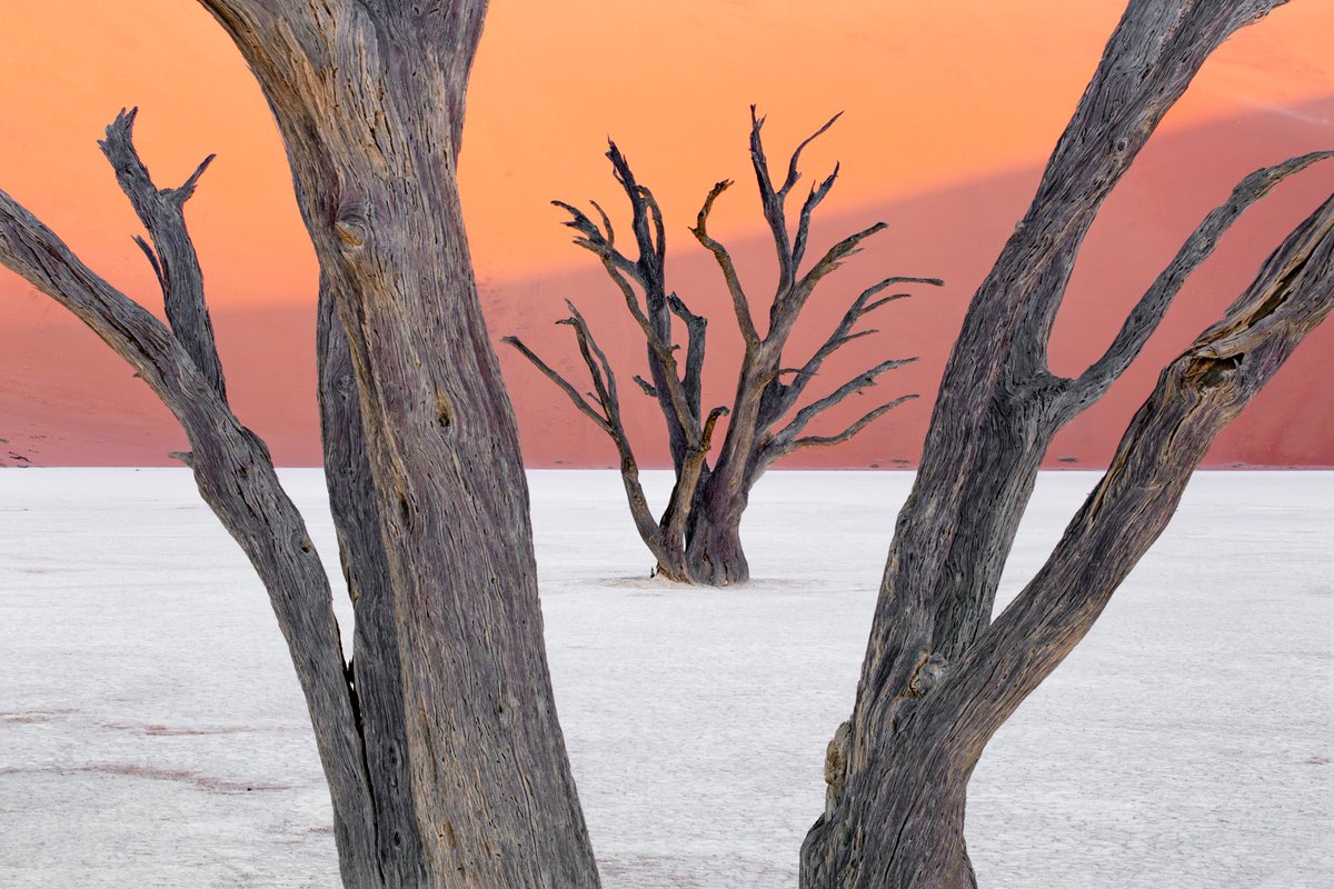 Some Namibia images from previous trips