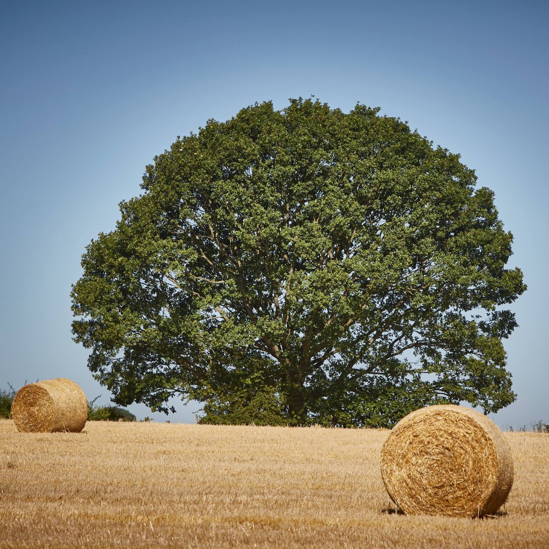 We pride ourselves on our ability to be at home, globally. We are just as proud of our British roots, which can be traced back to sunny Yorkshire in 1783. These beautiful images were shot last summer at our headquarters in Mirfield... when the weather was much nicer. 🌧️