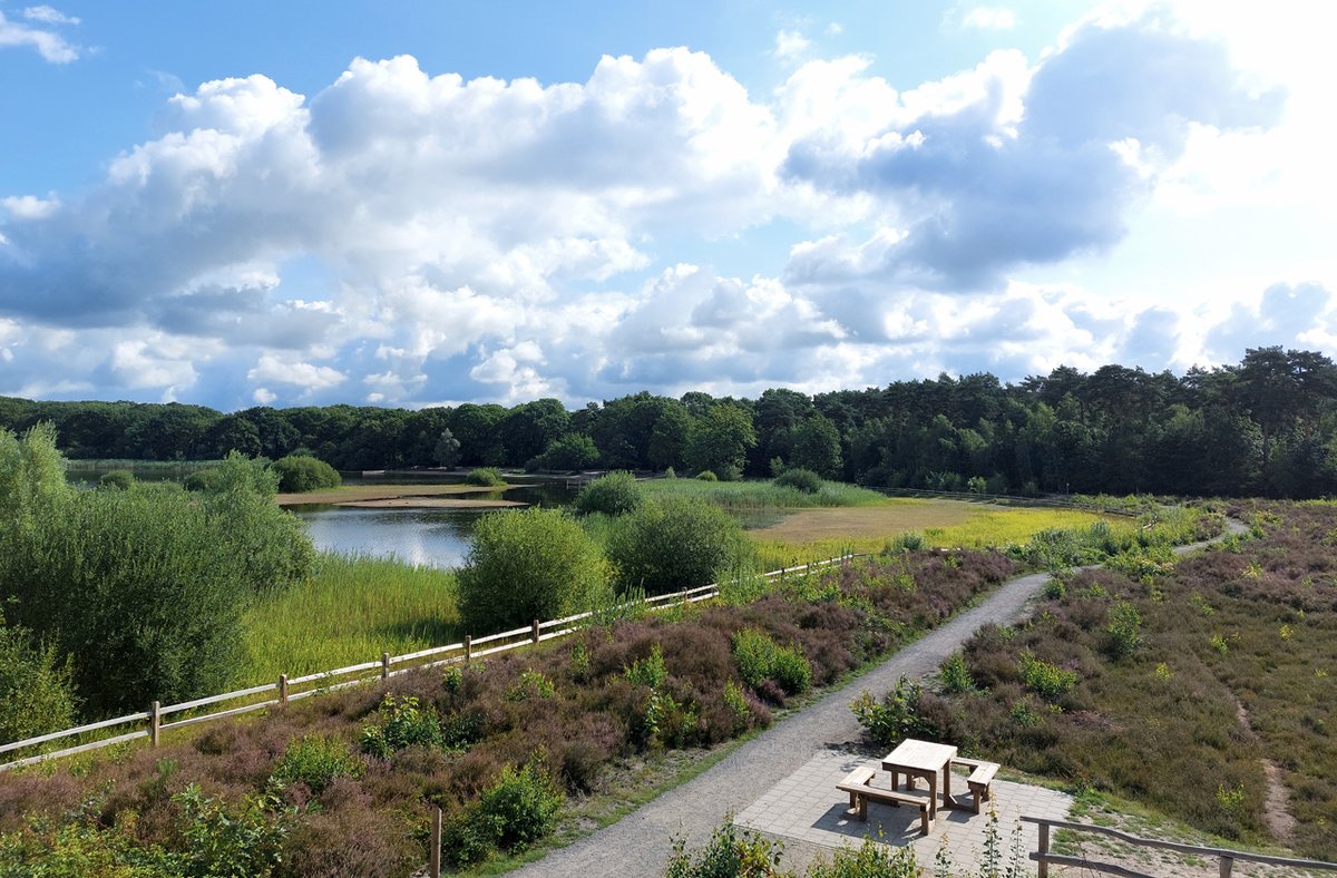 2/2) Rondom het #Groot_Meer in Wintelre is er veel opgeknapt.  Ook het platvorm is rolstoelvriendelijk gemaakt. Met enkele haarspeldbochten is de helling niet al te steil. Vanaf boven is er een mooi uitzicht over het water.

<a href="/BoswachterFrans/">Frans Kapteijns</a> <a href="/waarneming/">Waarneming.nl</a> <a href="/GemEersel/">Gemeente Eersel</a>