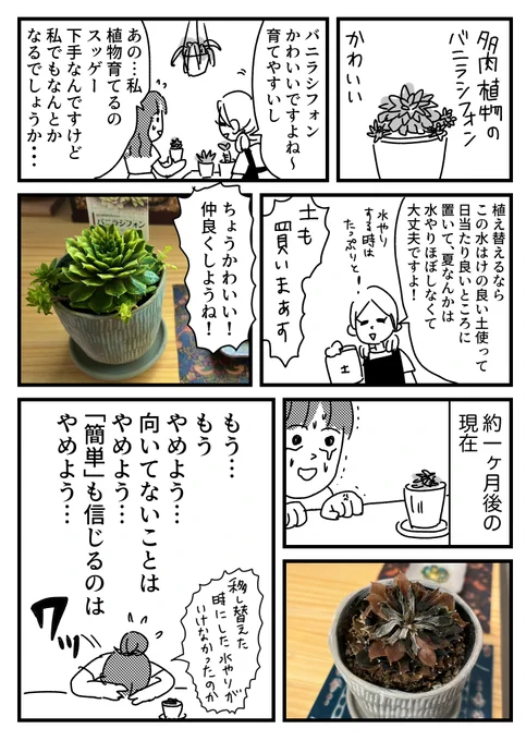 流石に諦めがついた夏の話   おまけはブログに→   基本的に日当たり良い場所に置いて、 移し替え時以外は水やりしなかったんですけどね…
