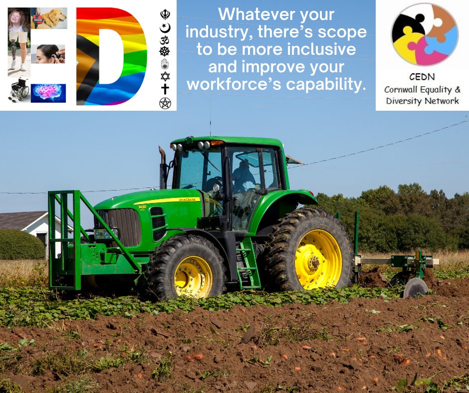 Cornwall Equality and Diversity Network tweet media