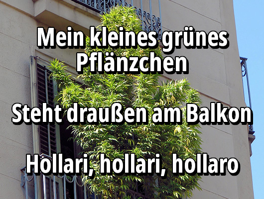 Irgendwann #EigenanbauStraffrei

Aber der #CanG-Entwurf muss massiv überarbeitet werden. Das ist einfach Überregulierung und im Geiste fortgesetzte #Cannabis-#Prohibition.

#AntiprohibitionistischeAktion #weedmob