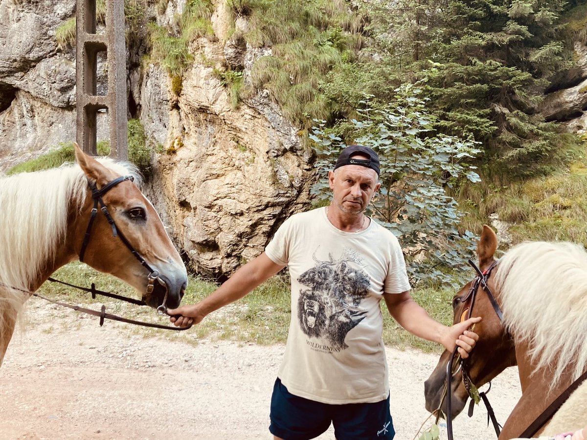 EuropeGenesys's tweet image. Vom lansa în curând Circuitul Titanilor 2. Drumeții la urieși cu bicicleta 🚲 Astăzi mergem din #CheileJiețului spre #CheileTaia europegenesys.com/Cheile-Taii 🚲 sau călare 🐎 #NFT #MultiversX #DAO #Blockchain #Crypto #P2E