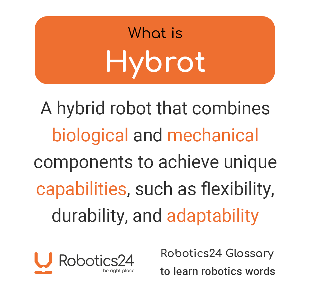 #Hybrots could be used to create more advanced prosthetics that integrate living tissue with mechanical components.
What is Hybrot?
#hybrot #hybrid #robot #softrobot #biorobot