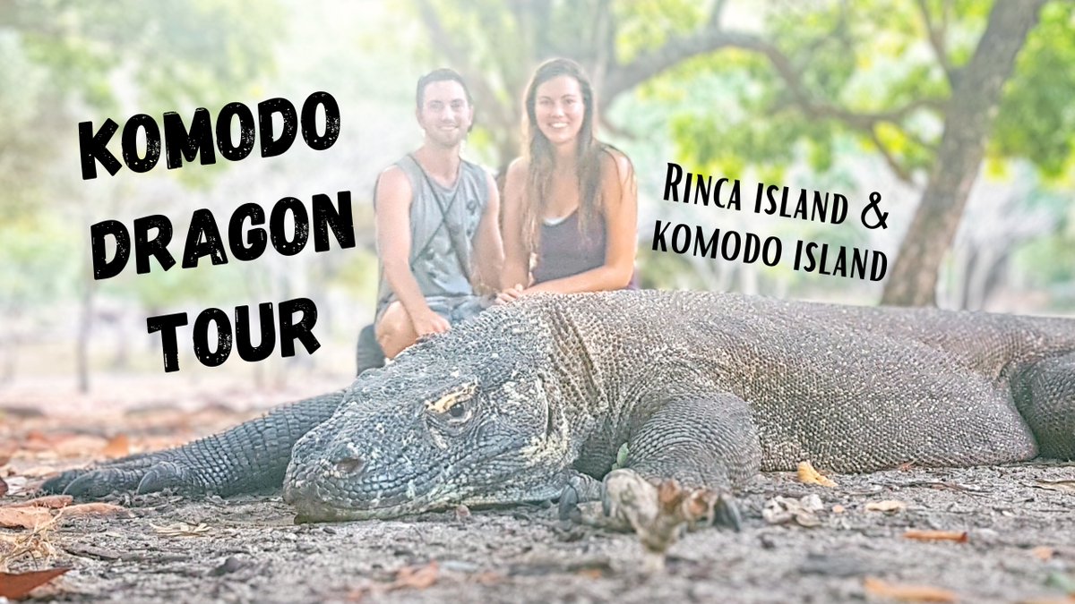 Komodo Dragons👉youtu.be/8so5LCV8p7s The latest movie in my Indonesia video series! Tell me, would you want to meet these deadly creatures? #komododragon #Indonesia #komodoisland #rincaisland #komodonationalpark