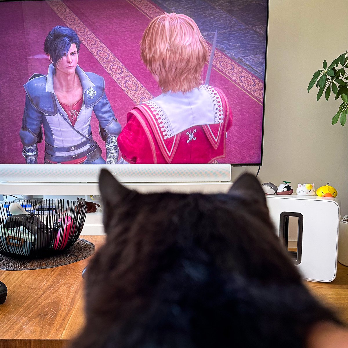 roger_sieber's tweet photo. #LetsPlay with or better for our #CatInCharge ;-)
#FinalFantasy16 on our #Samsung-TV https://t.co/aS6T6VWiGn