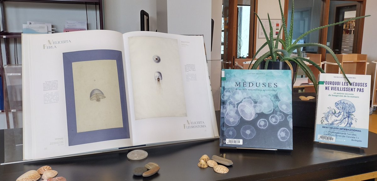 BU Rennes tweet media