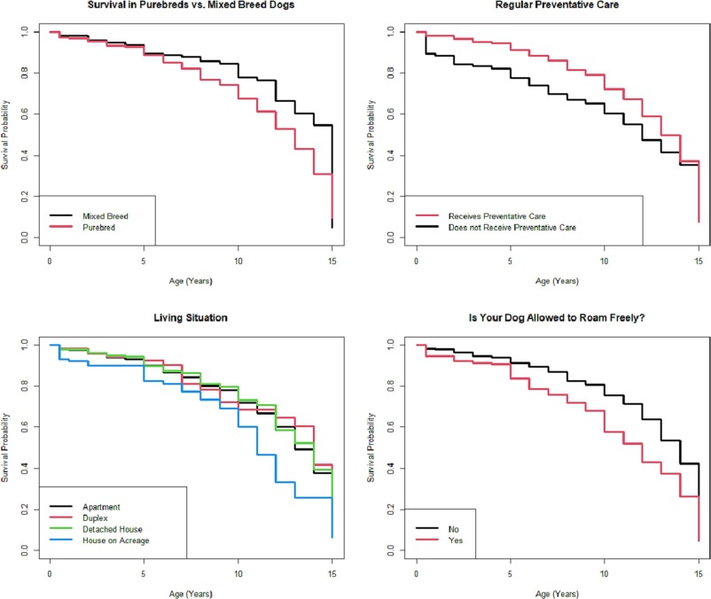 A study of 1312 Turkish companion dogs found that desexing, mixed breed status, and regular preventative care increased lifespan, while roaming freely decreased it. Owner income and education levels did not impact lifespan. sciencedirect.com/science/articl…