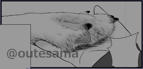 オオカミの前脚