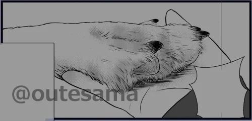 オオカミの前脚