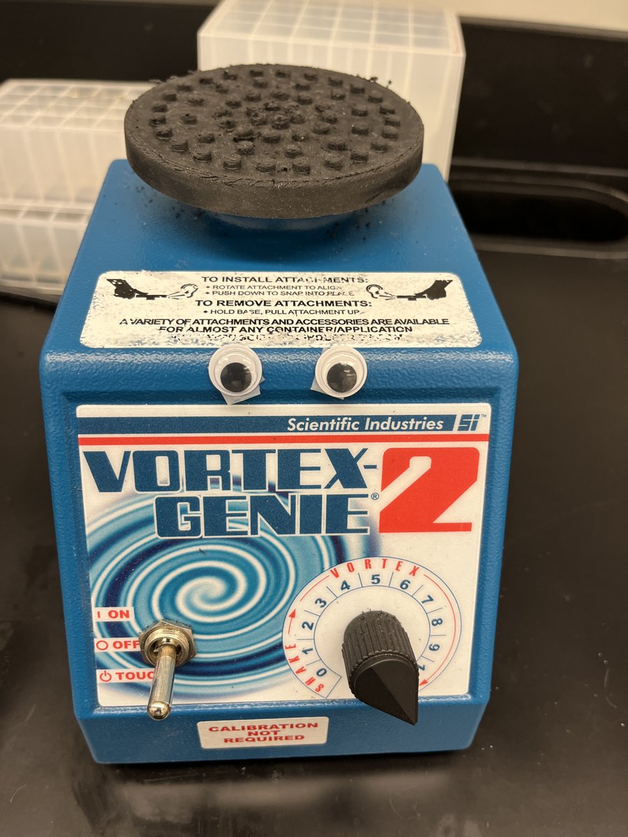 GenScript's tweet image. Is your lab equipment giving you major side eye?! 👀😅🤣

Don&apos;t fret! From gene synthesis to custom cloning, we can make your molecular biology research so much easier 😁😉

genscript.com/molecular-biol…

#molecularbiology #genesynthesis #geneengineering #geneediting #lifesciences