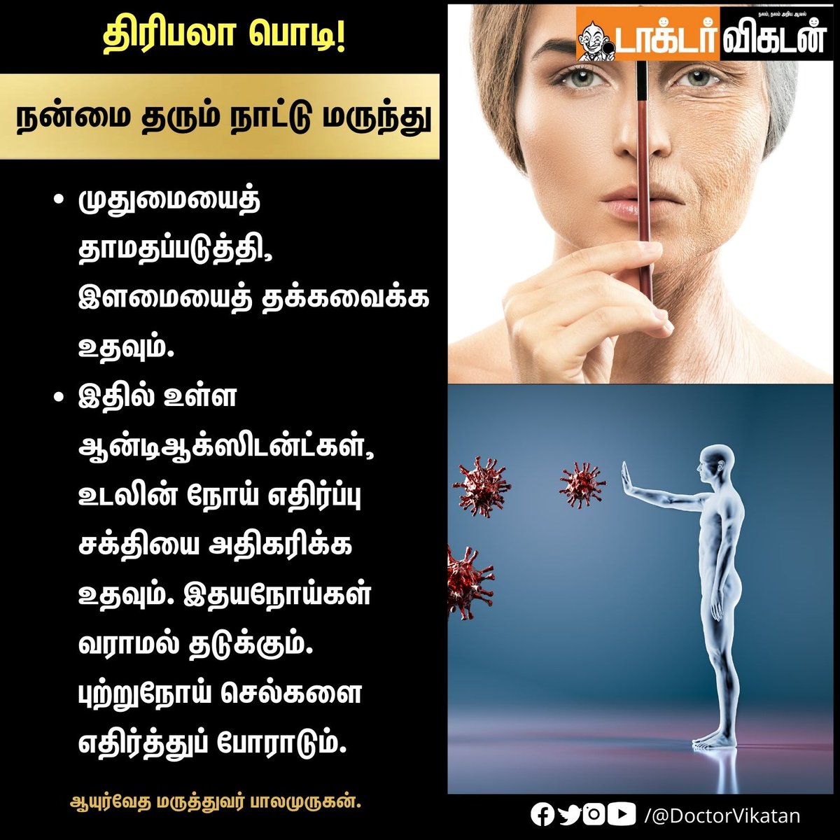 DoctorVikatan's tweet photo. திரிபலா பொடி: நன்மை தரும் நாட்டு மருந்து!

#Triphala #triphalapowder #triphalabenefits #health #healthcare #healthtips #Benefits #beauty #DoctorVikatan https://t.co/LEZthO5Izd