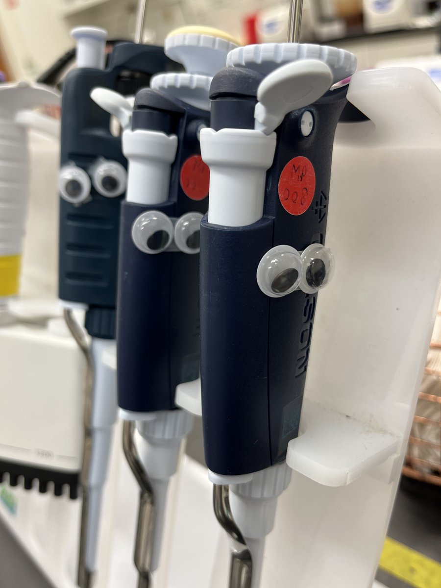 GenScript's tweet image. Is your lab equipment giving you major side eye?! 👀😅🤣

Don&apos;t fret! From gene synthesis to custom cloning, we can make your molecular biology research so much easier 😁😉

genscript.com/molecular-biol…

#molecularbiology #genesynthesis #geneengineering #geneediting #lifesciences