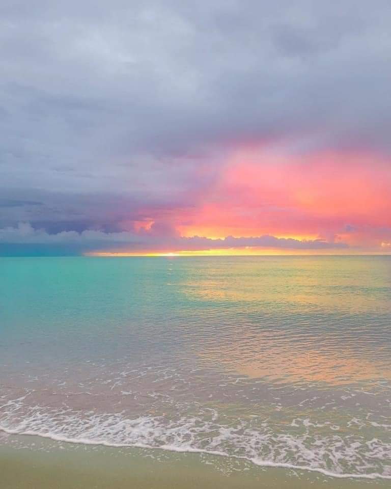 PlayaRiviera's tweet photo. Todo lo que nos hace mal hay que soltarlo y que mejor que en el mar que todo lo-cura.

📸 Vía: Yucatán por dentro https://t.co/SOmWaVd8U7