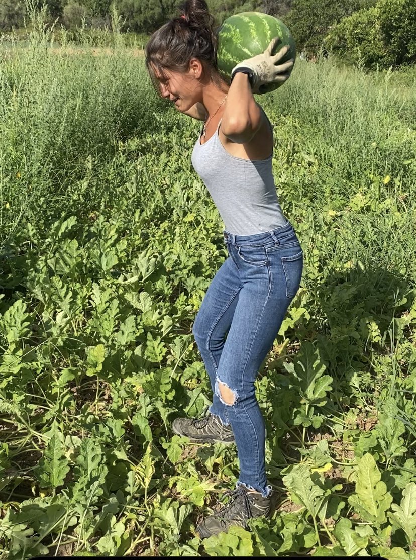 marytatangelo99's tweet image. In carenza di bilanciere o pesi vari ci accontentiamo delle angurie per fare squat in pieno campo 😂 #palestra #pesi #sudore #caldo