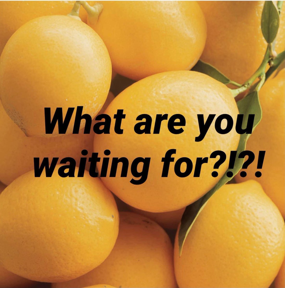 LemonTrails5K's tweet photo. Only 2 more hours for online registration! Register now to guarantee your spot in this chip timed, family friendly event! 

We will be accepting in person registrations in person at packet pickup and race day morning while spots are available! 

https://t.co/0YtkosPhjU https://t.co/oaxr1DlSvS