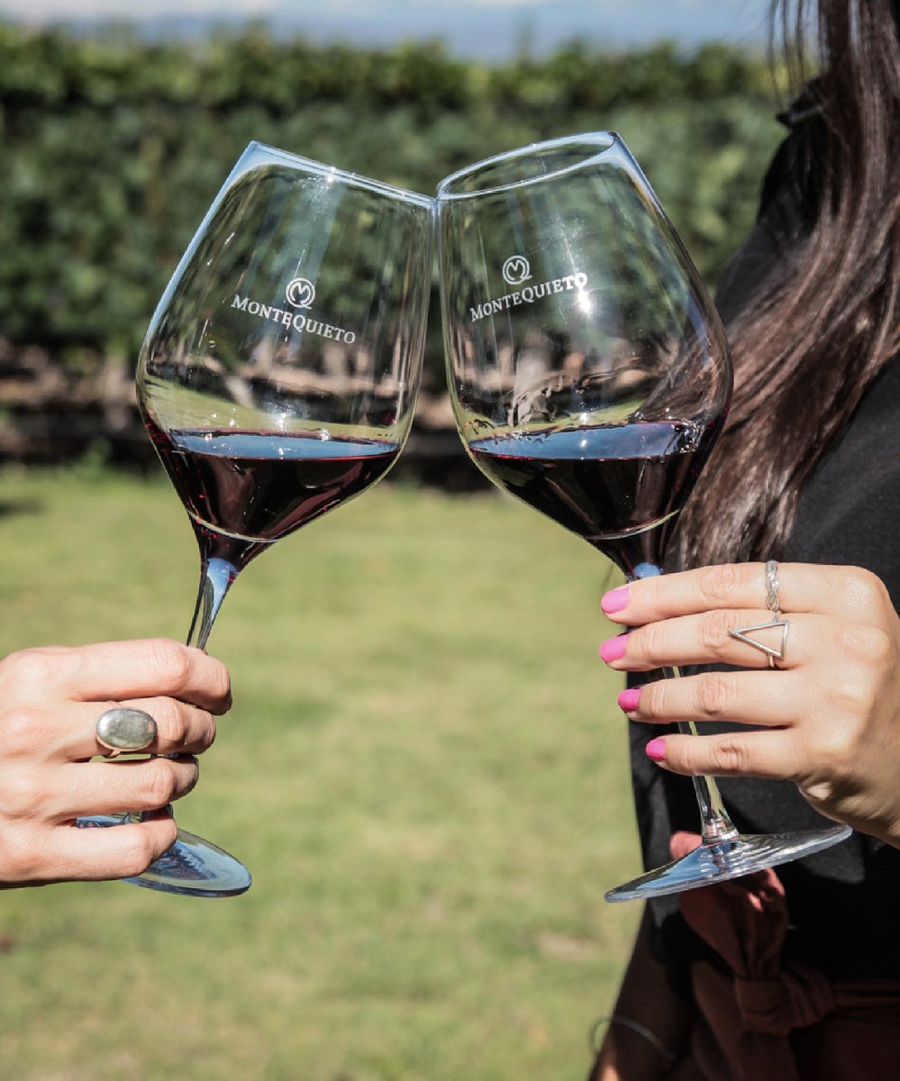 MonteQuieto_mza's tweet photo. Amigos y vino, placer divino 🍷
🥂Un brindis por aquellos que como un buen vino mejoran con los años🥂 Celebrá este día tan especial acompañados de nuestros #Quietos.
#montequieto #bodegadefamilia #vino #wine #bodegamontequieto https://t.co/11bDLTZYUA