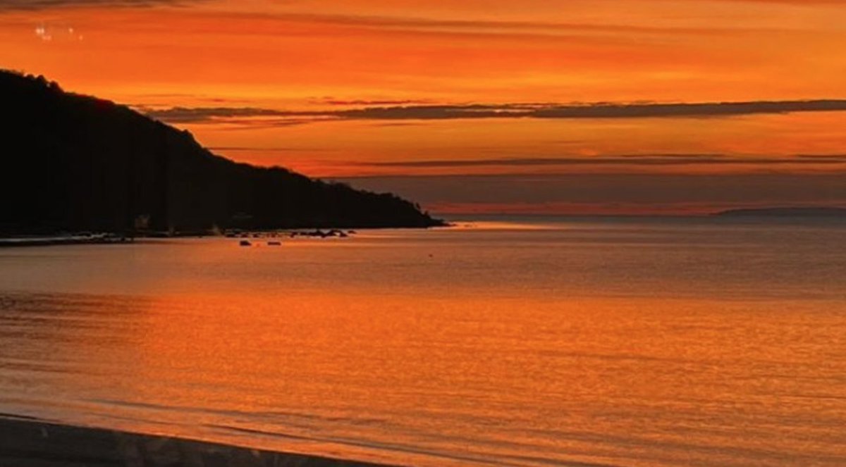 Alzheimer Café Daily IOW tweet media