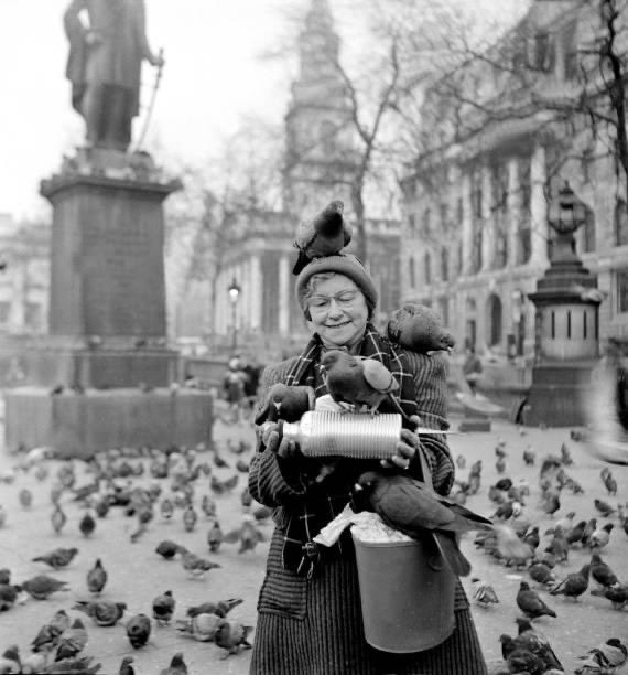 Trafalgar Square. 1956. #oldlondon