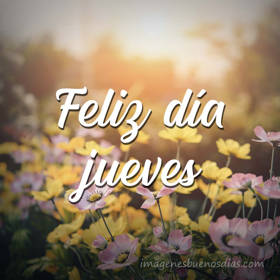 Fabuloso jueves tropa  tuitera  @feentidios35 @SoyYolit2 @cpmarp21 @Lisbeth62344715 @azubarbeba2 @Idalia50M @guerreandoctas @luzzy2101 @AveFeliz11 @KarenBo002 @Bombero2023 @GerardoGonz2013
#VenezuelaCapitalDeLaPoesía