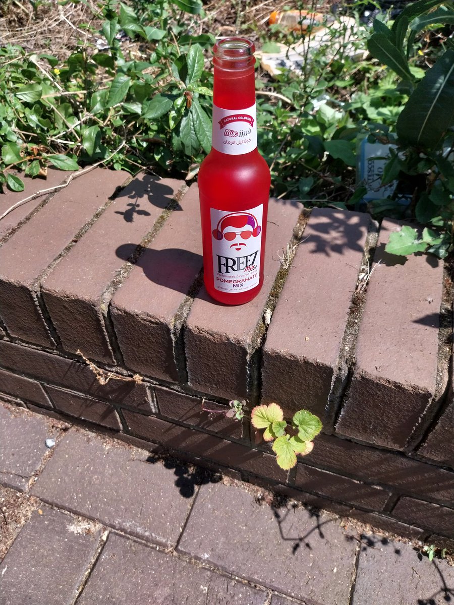 PruteanuTeodoru's tweet photo. 9ice drink further Summer Notting Hill Carnival.
I haven't had a Holiday in more then 10 years.
Alina
London United Kingdom 
England https://t.co/Id8PeXnxCy