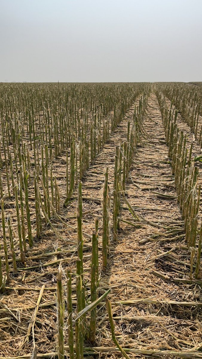 n8doremus's tweet photo. @Bkitch1Bodie You missed your stop just north of the Waco interchange. https://t.co/12bi4rDjMU