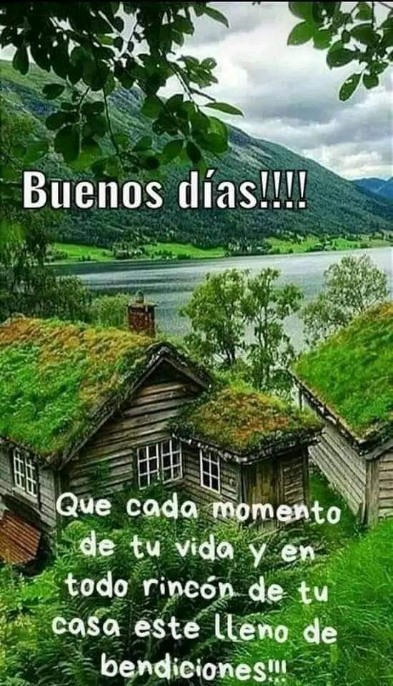 maria lovera rivas (@majarivas) on Twitter photo 