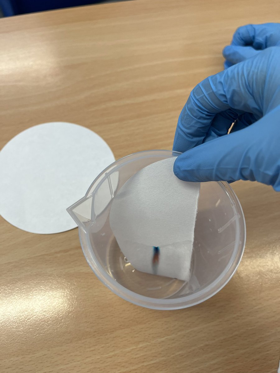 khpa_MrsS's tweet photo. Using chromatography to test which pen was used to write the note our criminal left. #AD2023 @KhpaPrincipal @khpa_h https://t.co/3i53XVgVKF