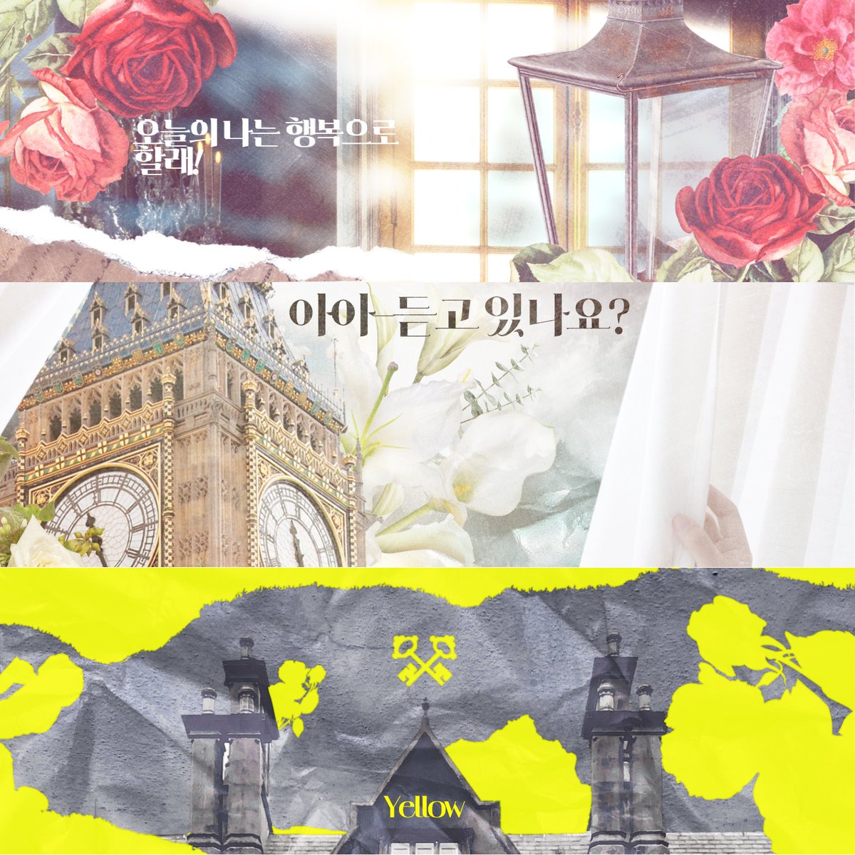 깅 tweet media