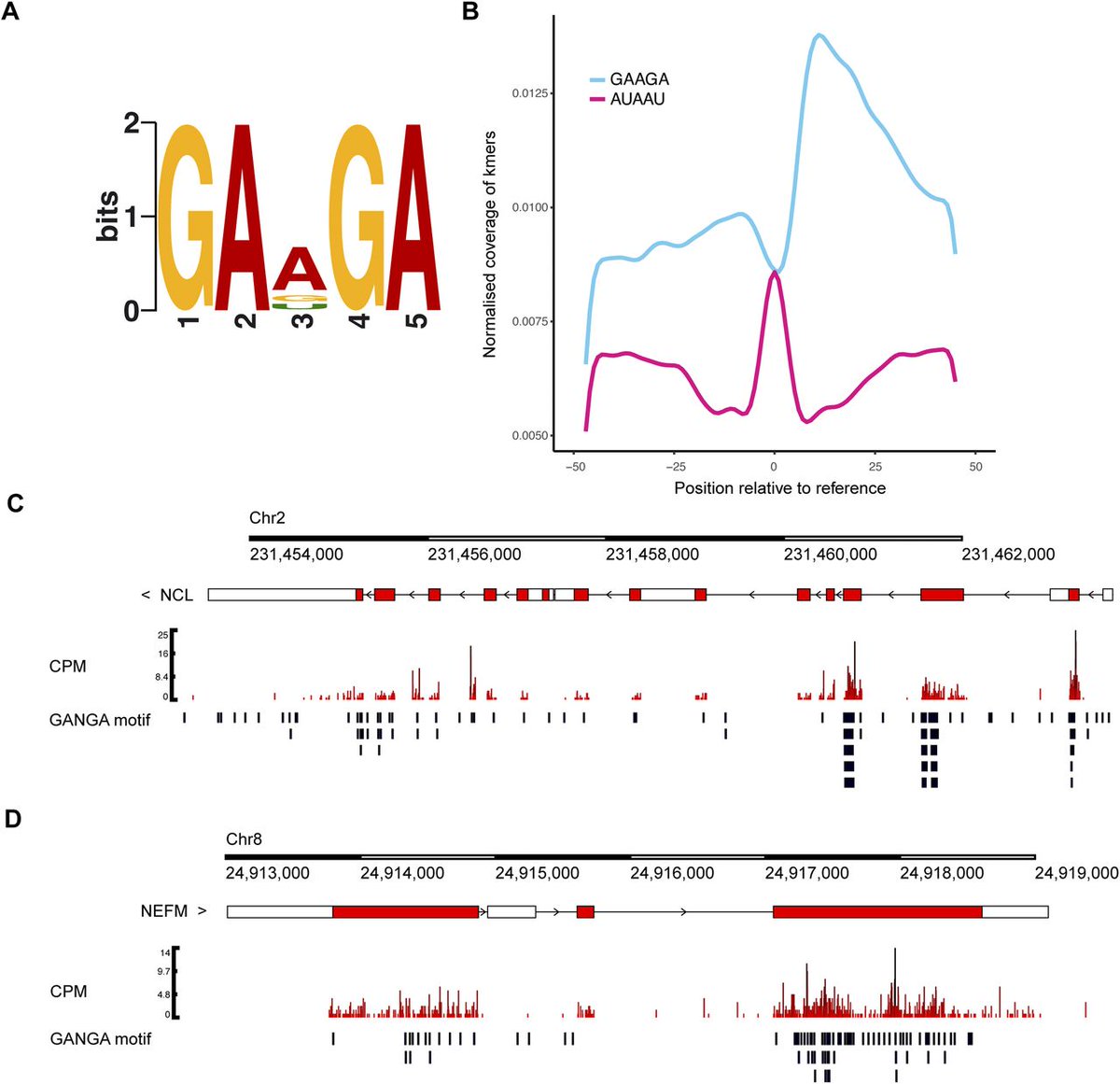 LifeScienceAlliance (@lsajournal) on Twitter photo C9orf72 poly(PR) binds to 558 RNAs in human cells and the sequence GAAGA is enriched at its binding sites. Poly(PR) has nanomolar affinity for GAAGA RNA and this RNA induces poly(PR) phase separation. @Isaacs_Adrian <a href="/RubikaBalendra/">Rubika Balendra</a> 
life-science-alliance.org/content/6/9/e2… C9orf72 poly(PR) binds to 558 RNAs in human cells and the sequence GAAGA is enriched at its binding sites. Poly(PR) has nanomolar affinity for GAAGA RNA and this RNA induces poly(PR) phase separation. @Isaacs_Adrian <a href="/RubikaBalendra/">Rubika Balendra</a> 
life-science-alliance.org/content/6/9/e2…