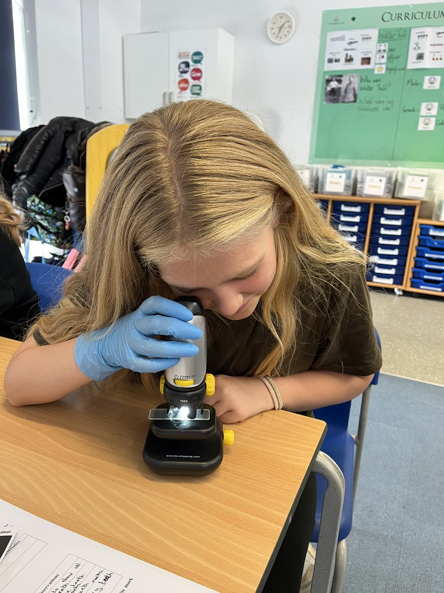 khpa_MrsS's tweet photo. Our silly criminal left a hair behind for us to examine! #Ad2023 @KhpaPrincipal  @khpa_h https://t.co/7e2FtWuQdN