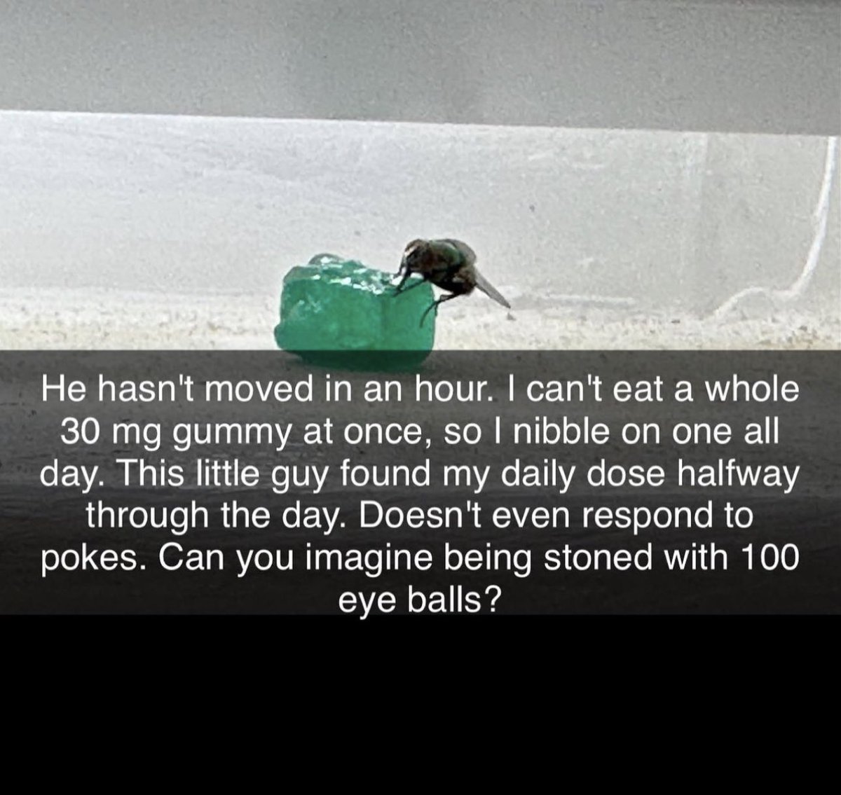 messedupfoods's tweet image. 