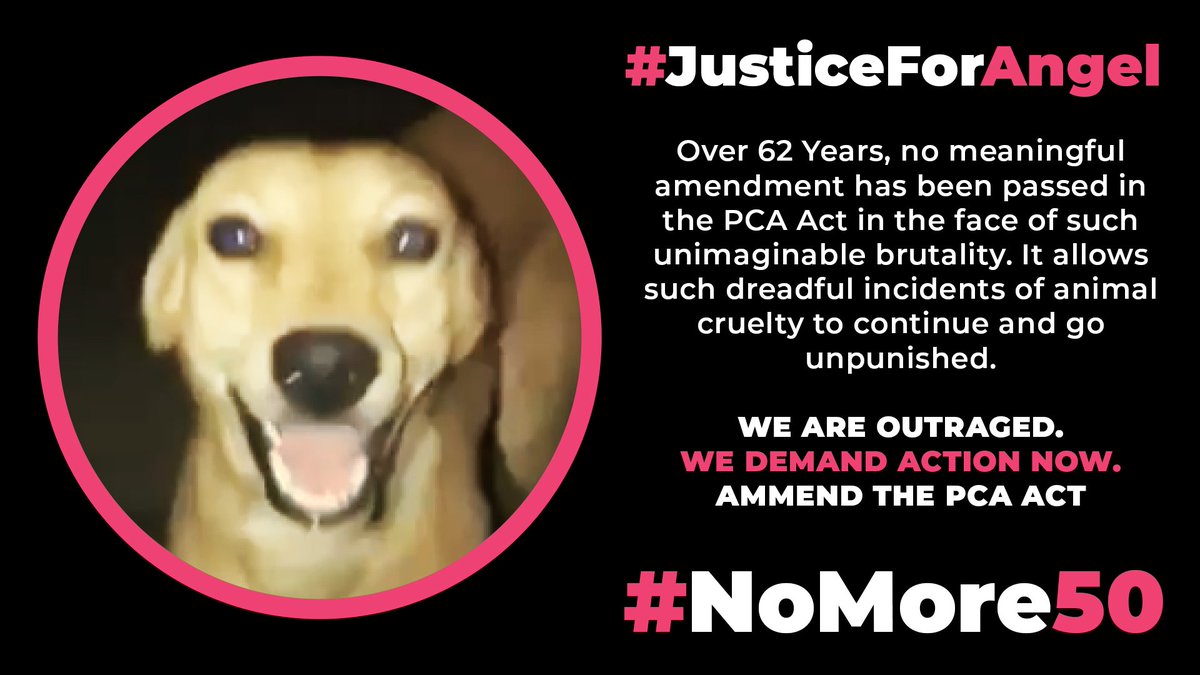 Manishadebnath4's tweet photo. “We must remember that our actions towards animals reflect our humanity. It
is our responsibility to be compassionate and kind.”
#JusticeForAngel #NoMore50
#NoMore50orNoVotes https://t.co/xwJWlDxyVI