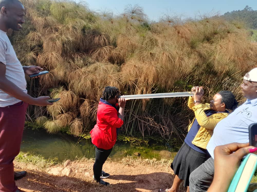 Crested cranes are one of the most endangered species in 🇺🇬. The 🇬🇧 through @DarwinProject, @MargaretPyke in partnership with @savingcranes and @Rugaramahospital supports communities in Western 🇺🇬 to conserve wetlands vital for both people and the crested cranes.