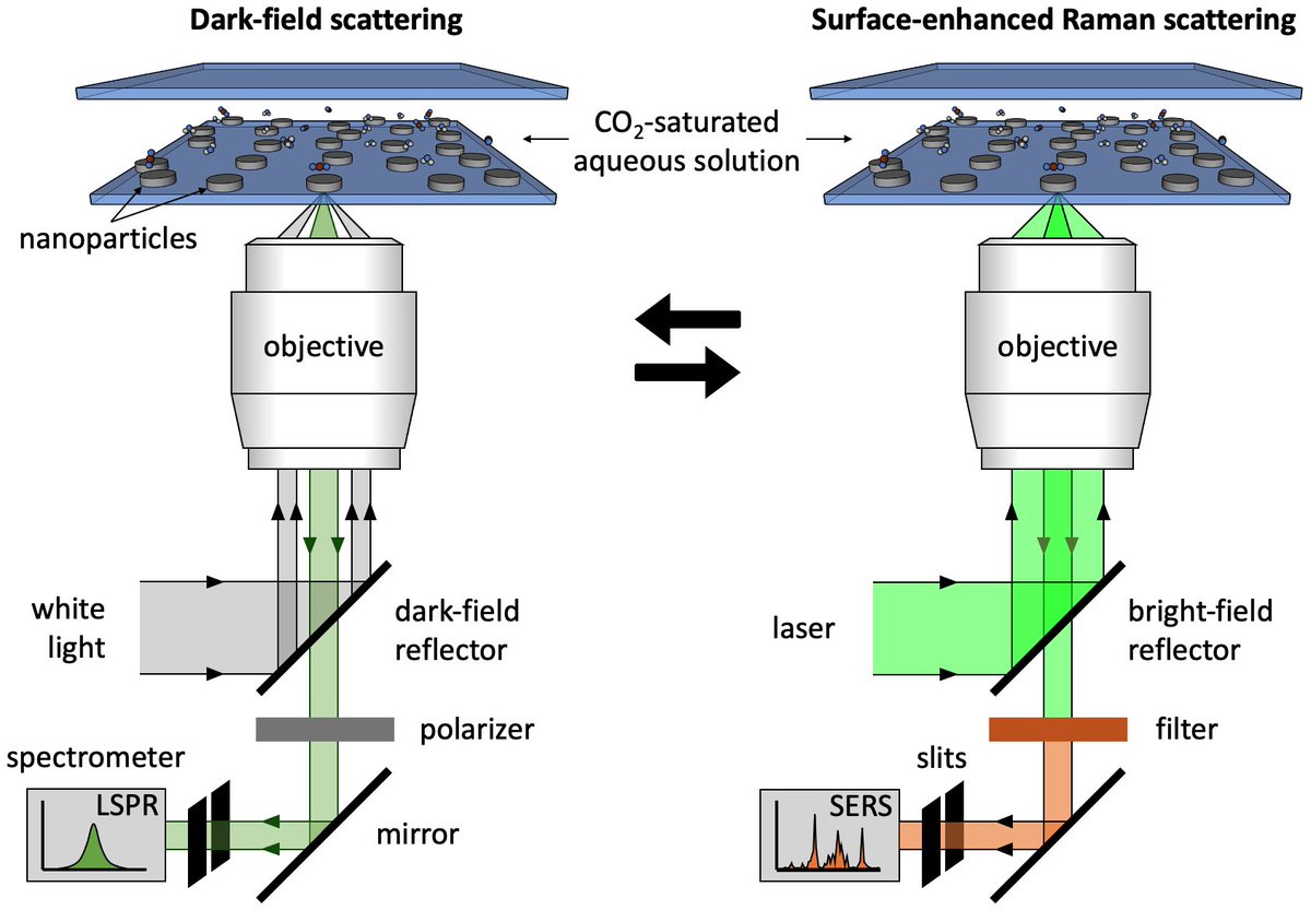 Andrea Baldi (@calippoebbira) on Twitter photo PhD position on #plasmonic #chemistry in our group <a href="/VUamsterdam/">Vrije Universiteit Amsterdam (inactief)</a>!
We will study fundamental aspects of light-driven CO2 reduction on plasmonic nanoparticles, via dark-field and surface-enhanced Raman scattering spectroscopies.
🙏 RT!
werkenbij.vu.nl/ad/phd-selecti… PhD position on #plasmonic #chemistry in our group <a href="/VUamsterdam/">Vrije Universiteit Amsterdam (inactief)</a>!
We will study fundamental aspects of light-driven CO2 reduction on plasmonic nanoparticles, via dark-field and surface-enhanced Raman scattering spectroscopies.
🙏 RT!
werkenbij.vu.nl/ad/phd-selecti…