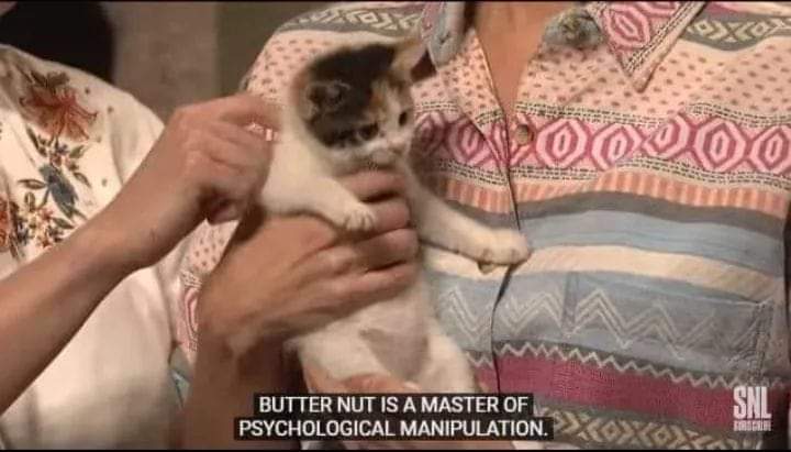 CATBRAINCELL's tweet photo. https://t.co/lApwwnYnO0