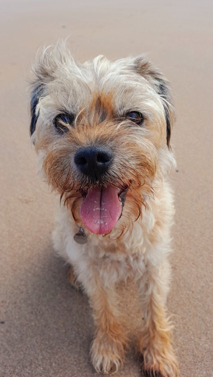 Pretty happy to be at the beach today pals😊
#BTposse
