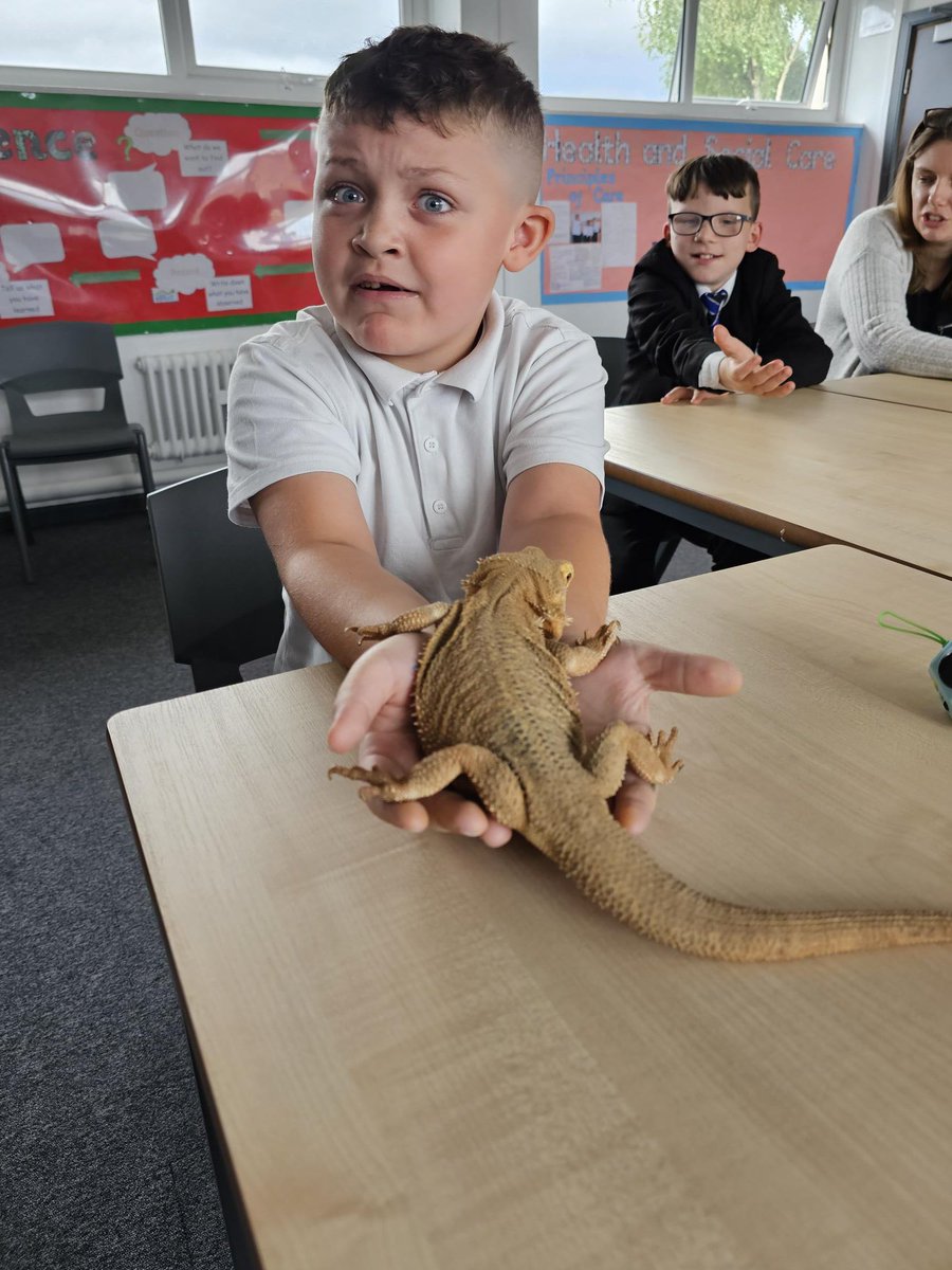 DeltaStWilfrids's tweet photo. A few great shots from the visiting animal roadshow, in science lessons this week #SWAsuccess #bringingsciencetolife https://t.co/JTaB0IclPC
