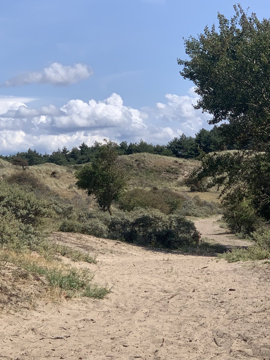 Lekker fietsen door de duinen 
#Kennemerduinen