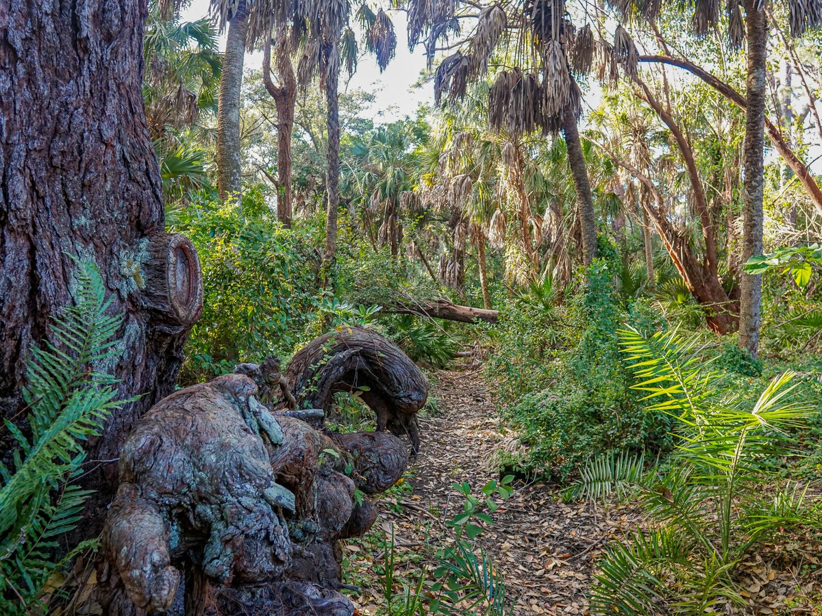 FLStateParks tweet picture