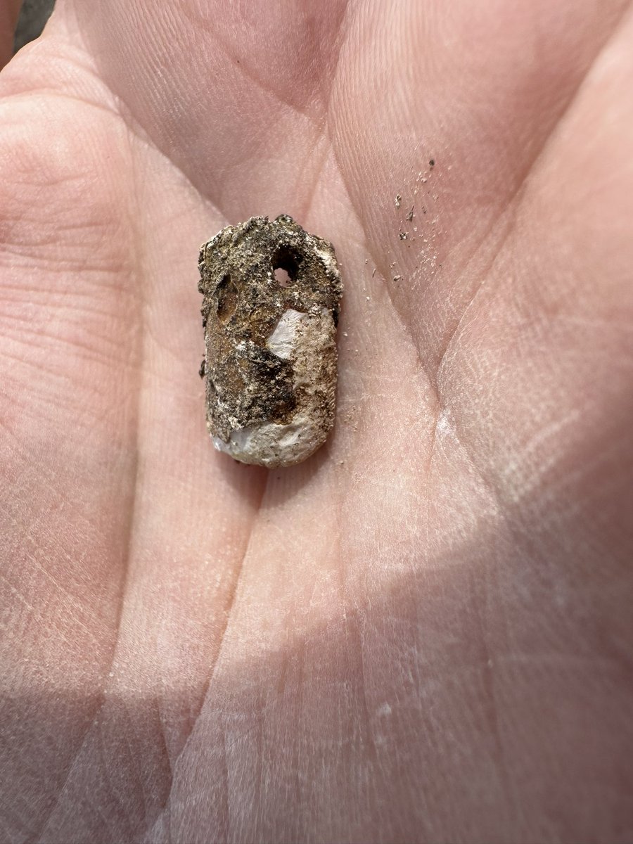 Richard Osgood tweet media