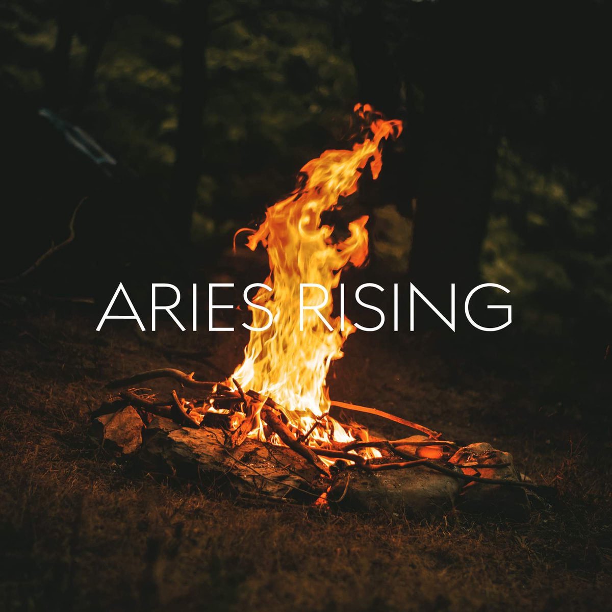 ____vick_____'s tweet photo. @SoulshineHeali1 https://t.co/LCNN60HfFv