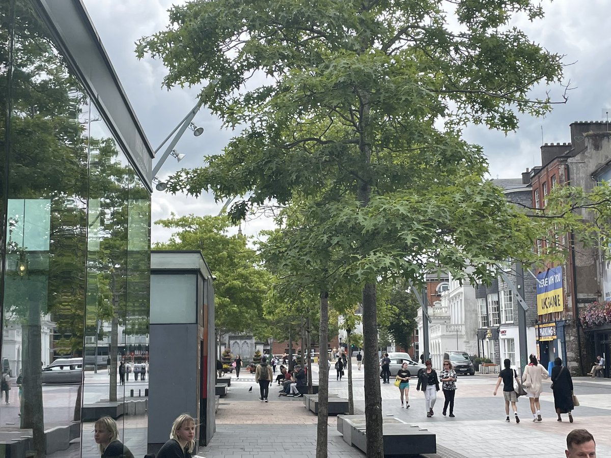 thomil13's tweet photo. Just love these #Lunchtime bike trips into the city centre. Doing them nearly every day now, especially with the bike lanes on the north quays. I’m surprised that there aren’t more posts about #TFIBikes out there, especially given that maintenance has significantly improved! https://t.co/4LAUA0dV4b